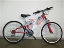 bicykel_engine_smart_fs_24