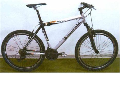 bicykelcarratt