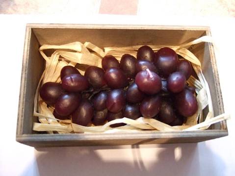 sviecky_hrozno2